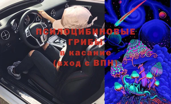 PSILOCYBIN Бронницы