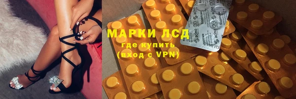 стаф Бородино
