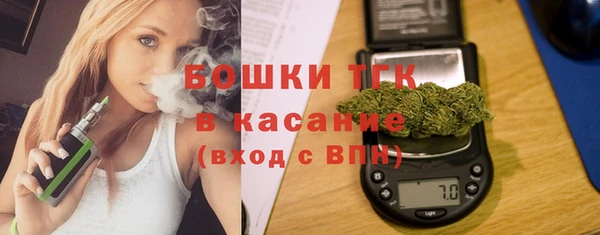 стаф Бородино