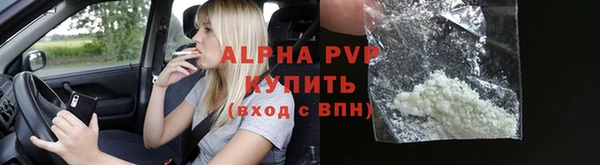 стаф Бородино