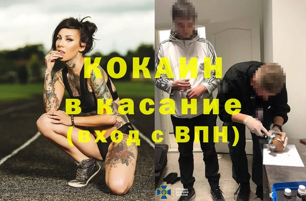 стаф Бородино