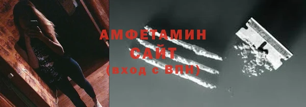 стаф Бородино