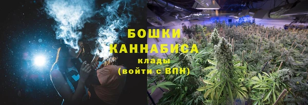 стаф Бородино