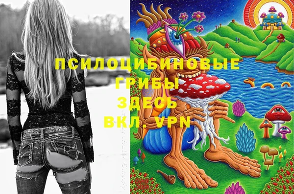 стаф Бородино