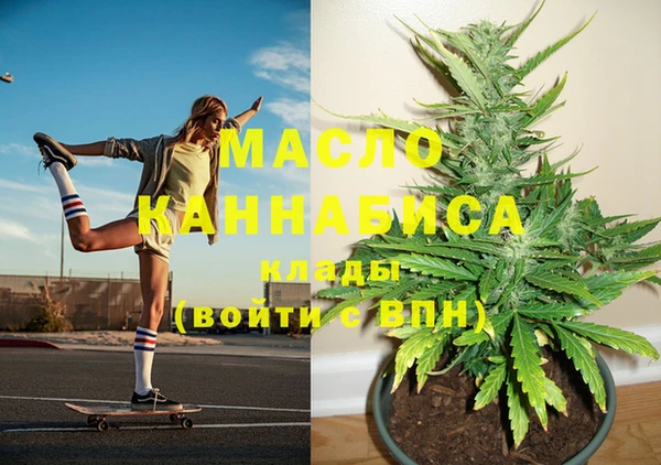 стаф Бородино
