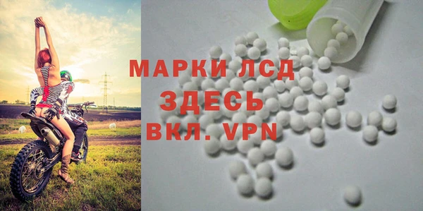 PSILOCYBIN Бронницы