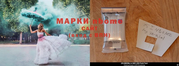 стаф Бородино