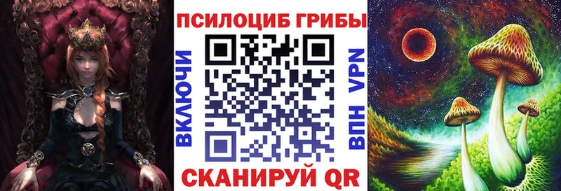 Псилоцибиновые грибы Psilocybe  Черняховск 